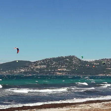 Blue Palm * Hyères