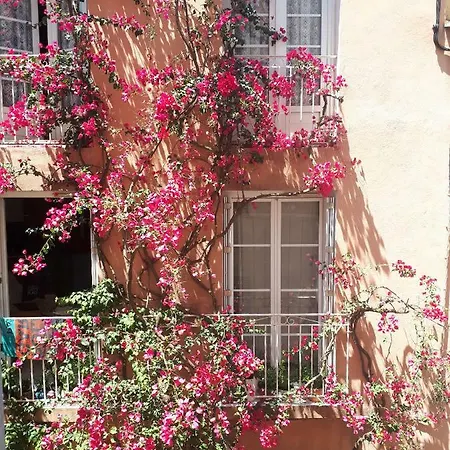Blue Palm Apartment Hyeres